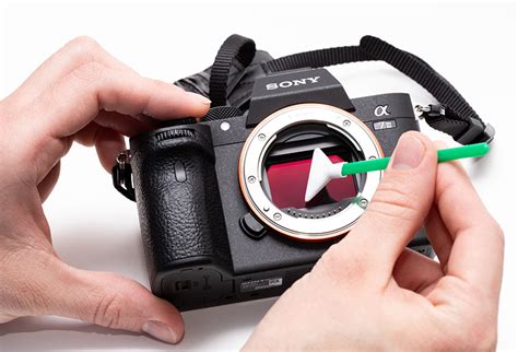 Camera Sensor Cleaning Services | Nikon, Canon, Sony & More