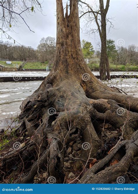 Nordhouse Dunes Wilderness Stock Photo Image Of Water 152820682