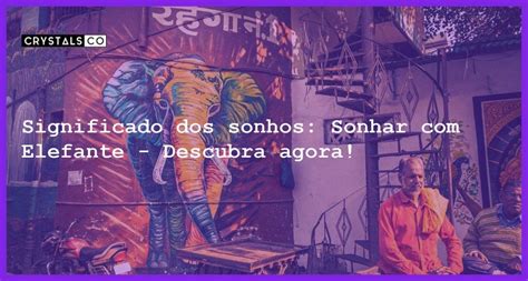 Significado Dos Sonhos Sonhar Elefante Descubra Agora Blog