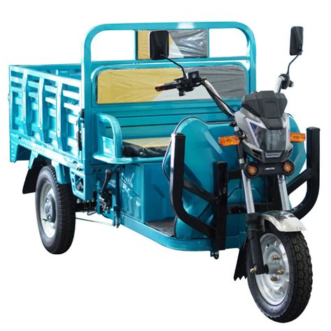 E Trikes Wheel Cargo Electric Tricycles Motorcycle Three Wheel Adult