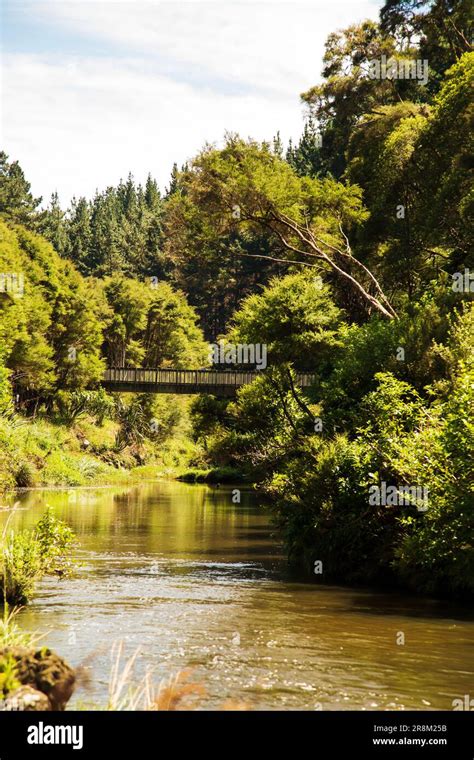 Bridge Over Stream Stock Photo Alamy