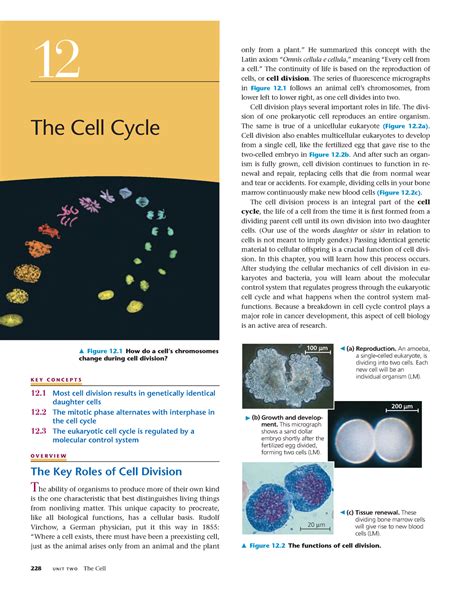 Chapter 12 The Cell Cycle 12 The Cell Cycle Figure 12 How Do A