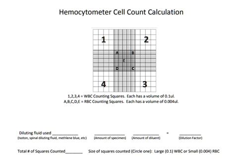 Solved Hemocytometer Cell Count Calculation 1234 Wbc Counting