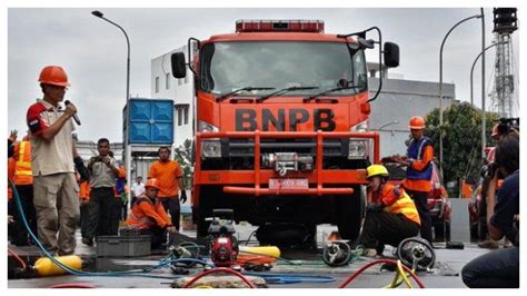 Rekrutmen Badan Nasional Penanggulangan Bencana Bnpb Ri Pendaftaran