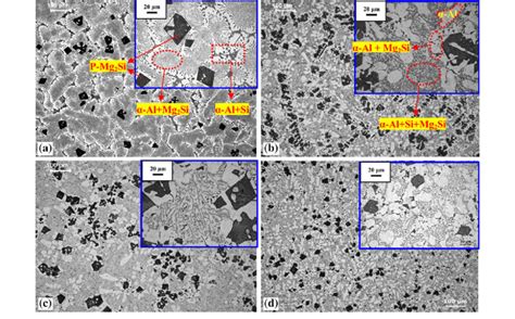 A As Cast Microstructure Of Hypereutectic Al Mg Si Alloy Ams B As