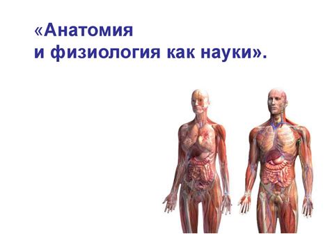 Анатомия и физиология как науки - презентация онлайн