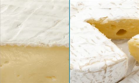 Camembert Vs Brie Whats The Difference Lets Foodie