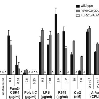 Heterozygous TLR2 3 4 7 9 Mice Respond Similarly To TLR Agonists As