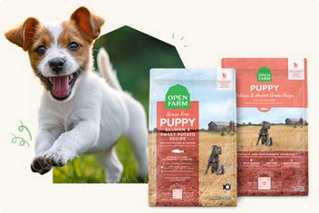 Salmon Puppy Food with Ancient Grains - Open Farm