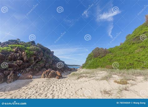 reef   beach stock image image  ocean great