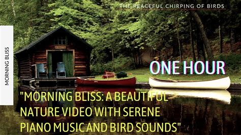 Morning Bliss A Beautiful Nature Video With Serene Piano Music And