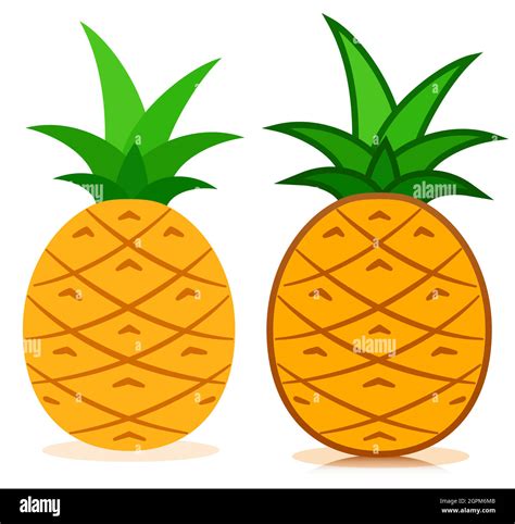 Pineapple Icon Tropical Fruit Vector Stock Vector Image And Art Alamy