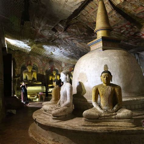 Dambulla Pidurangala Rock And Minneriya National Park Half Day Safari