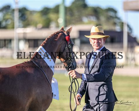 Elegant Exposures Royal Canberra Show Ring 1 22 02 2024