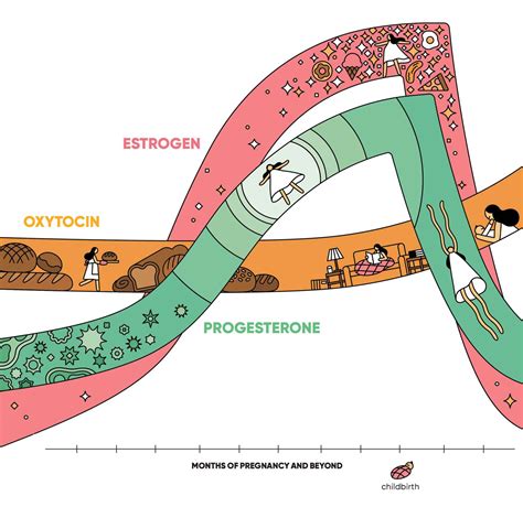 Pregnancy Hormone Levels—heres Whats Going On