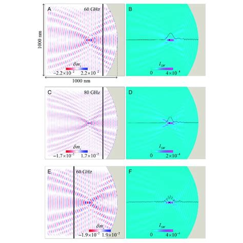 A Snapshot Of The Spin Waves Reflected From The Parabolic Edge The