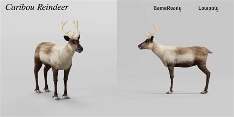 Caribou Reindeer Animals - 3D Model by Nyilonelycompany