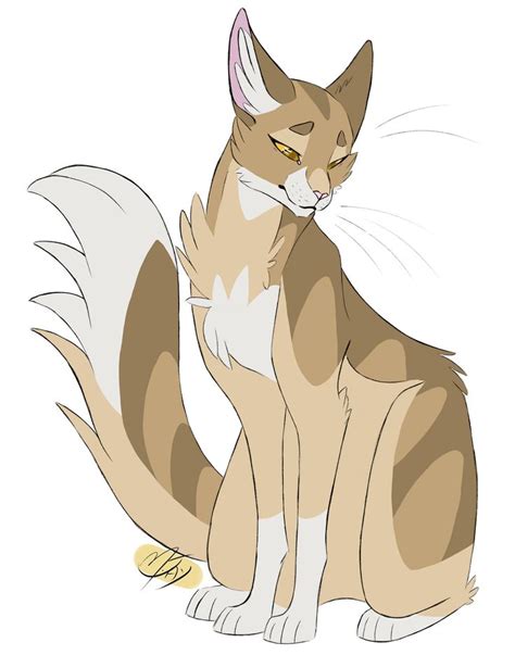 Warrior Cats M Jay Warriors Art Warrior Cat Drawings Warrior