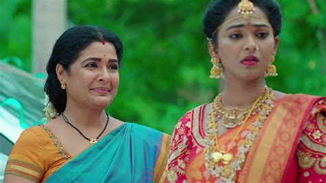 Malli Nindu Jabili Watch Episode 430 Meera Consoles Malli On