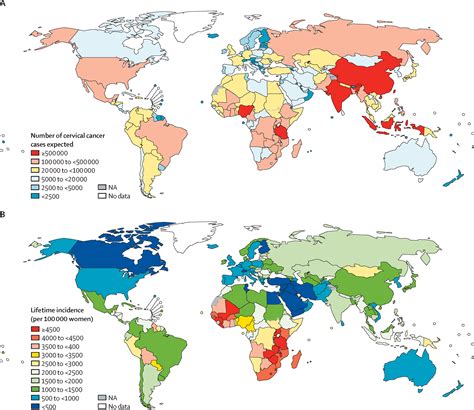 Global Estimates Of Expected And Preventable Cervical Cancers Among