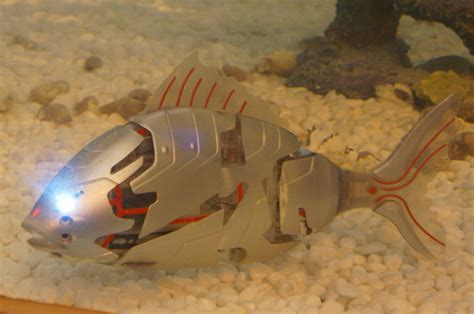 Robot Fish