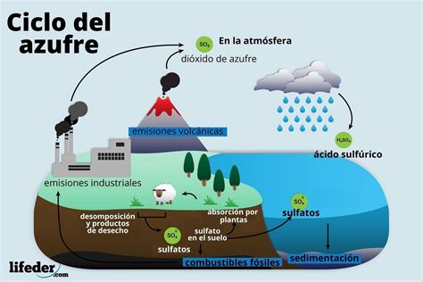 Los Ciclos Biogeoquimicos Ciclos Del Fósforo Oxigeno Azufre