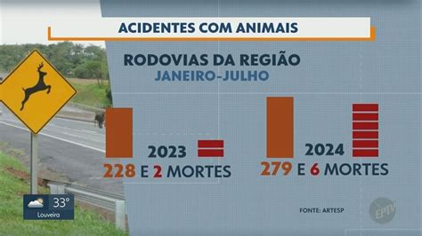 Acidentes animais aumentam 22 3 em rodovias nas regiões de