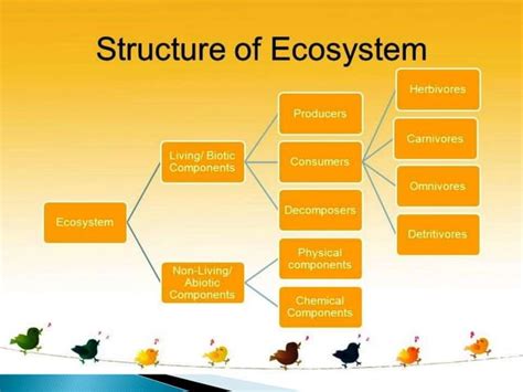 Concept Of Ecosystem Ppt