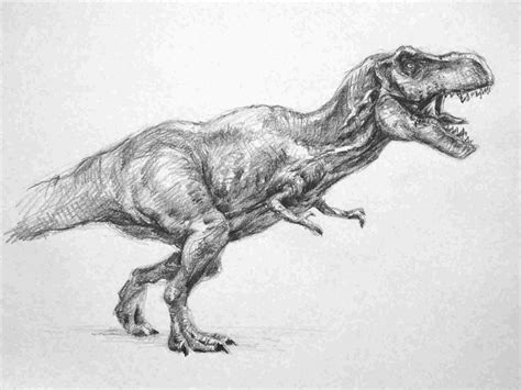 Sketch Realistic Dinosaur Drawing