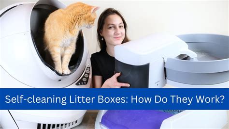 Self-cleaning Litter Boxes: How Do They Work?