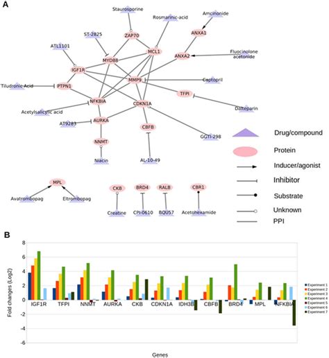 Drug Target Network Of Potential Targets And Gene Expression A