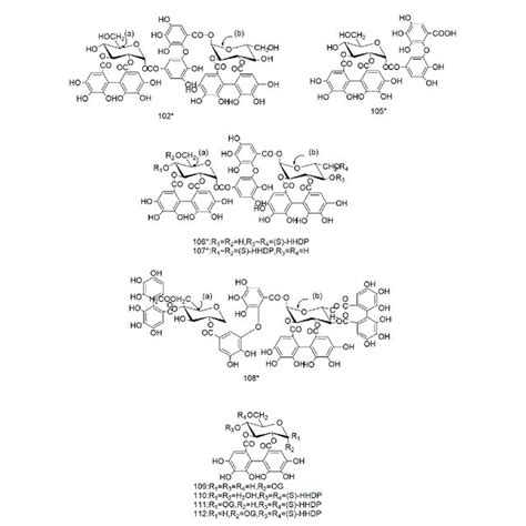 Diagrammatic representation of the structural formulas of tannins of ...