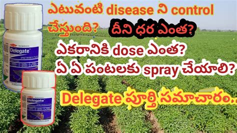 Dow Delegate Insecticide Full Details In Telugu Delegate