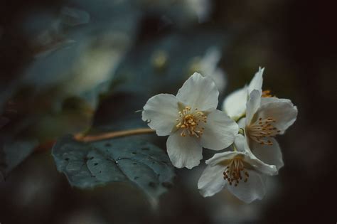 Colors of spring on Behance