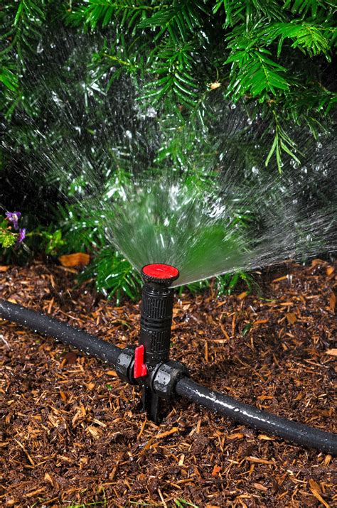 Above Ground Irrigation Systems For Landscaping Diy Sprinkler System