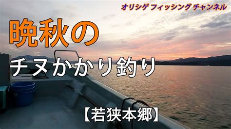 チヌかかり釣り 2023119 金丸渡船 福井県おおい町若狭本郷で秋のチヌ釣りを楽しみました。小チヌが多い中、良型チヌを目指して奮闘します