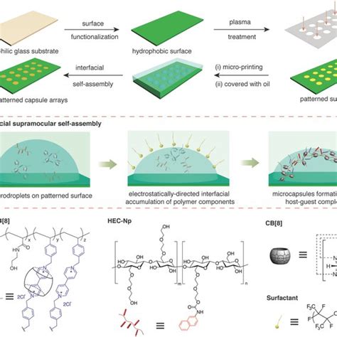 Cargo Release Performance Of The Supramolecular Hydrogel Microcapsule