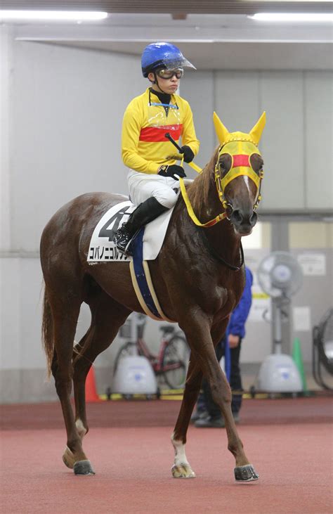 【新谷の日曜競馬コラム・駒場特別】 日刊ゲンダイ競馬