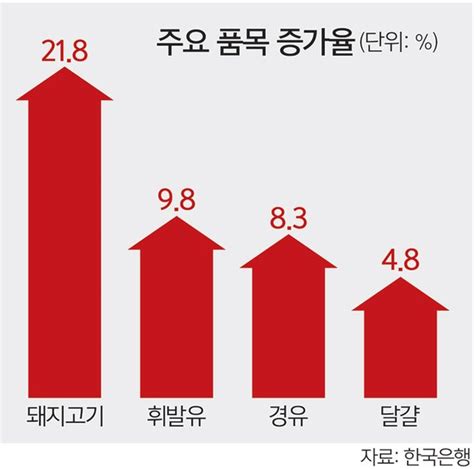 생산자물가 5개월 연속 최고치1년전보다 97 올라 네이트 뉴스