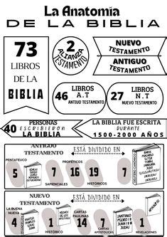 900 ideas de Bíblicos en 2024 biblia para niños escuela dominical