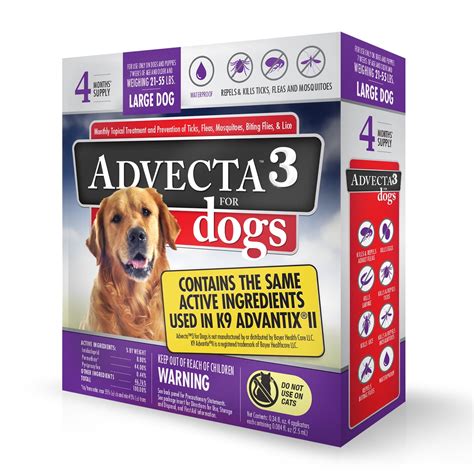 Can Flea And Tick Medicine Make My Dog Lethargic At Merrill Mauro Blog