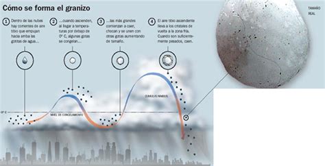 El Ciclo De La Nieve