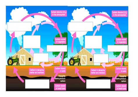 Weathering and the carbon cycle | Teaching Resources