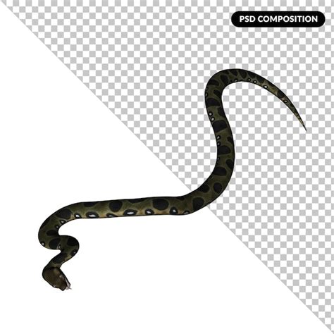 Dessin Serpent Psd Mod Les Psd Gratuits De Haute Qualit