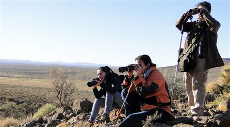 Zapala está en temporada de avistaje de aves y astrofotografía