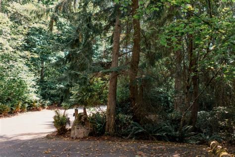 Stunning Natural Beauty At The Islandwood Wedding Venue