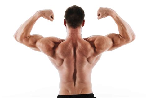 The Best Lat Exercises You Must Try Healthxtips