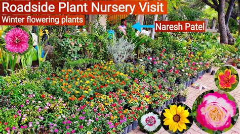 Plant Nursery Visit Cheapest Plant Nursery Plant Price With Names