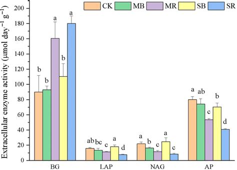 Extracellular Enzyme Activities Of β‐glucosidase Bg Leucine Amin