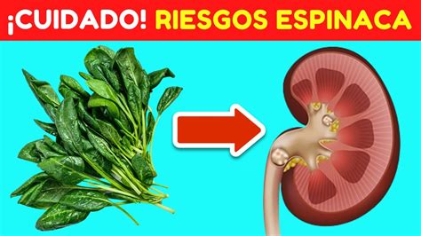 Descubre Los Increíbles Beneficios De La Espinaca Y Conoce Sus